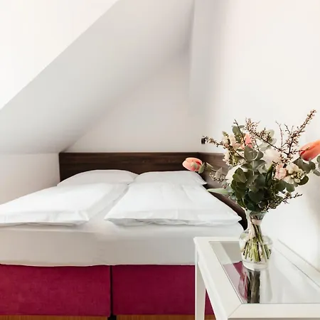 Guest house Austis 3*