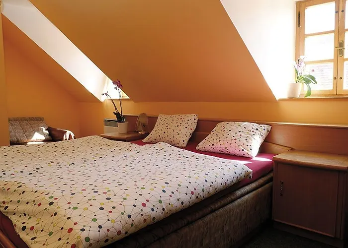 Austis ゲストハウス ズノイモ